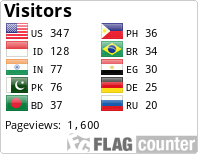 Flag Counter