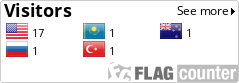Flag Counter