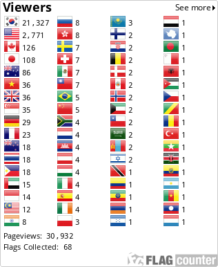 Flag Counter