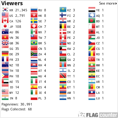 Flag Counter