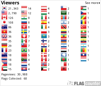 Flag Counter