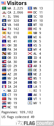 Flag Counter