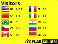 Flag Counter