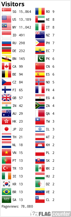 Flag Counter