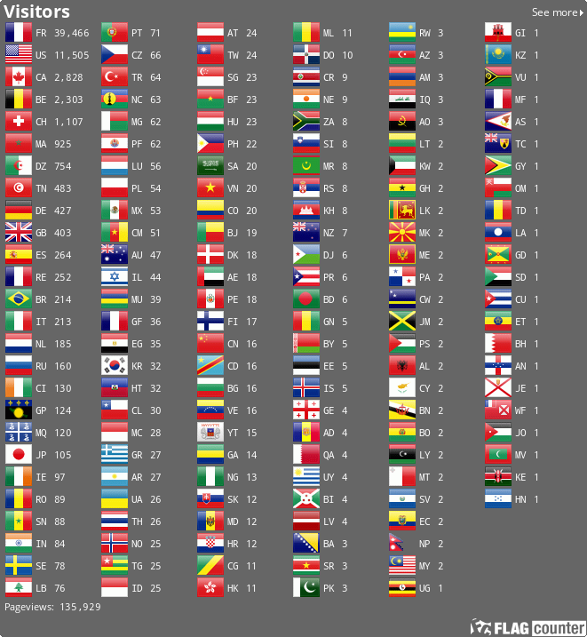 Flag Counter