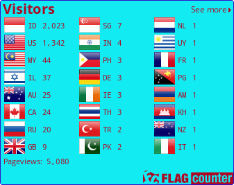 Flag Counter