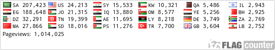 Flag Counter