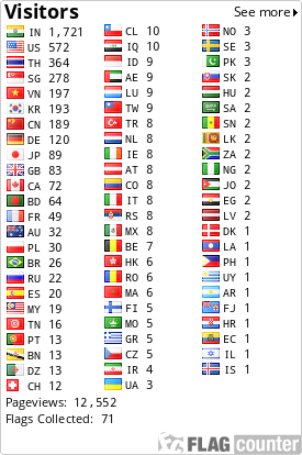 Flag Counter