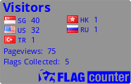 Flag Counter