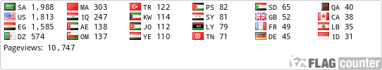 Flag Counter