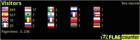 Flag Counter