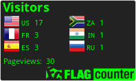 Flag Counter