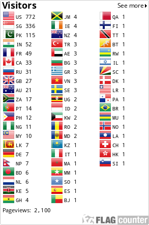 Flag Counter